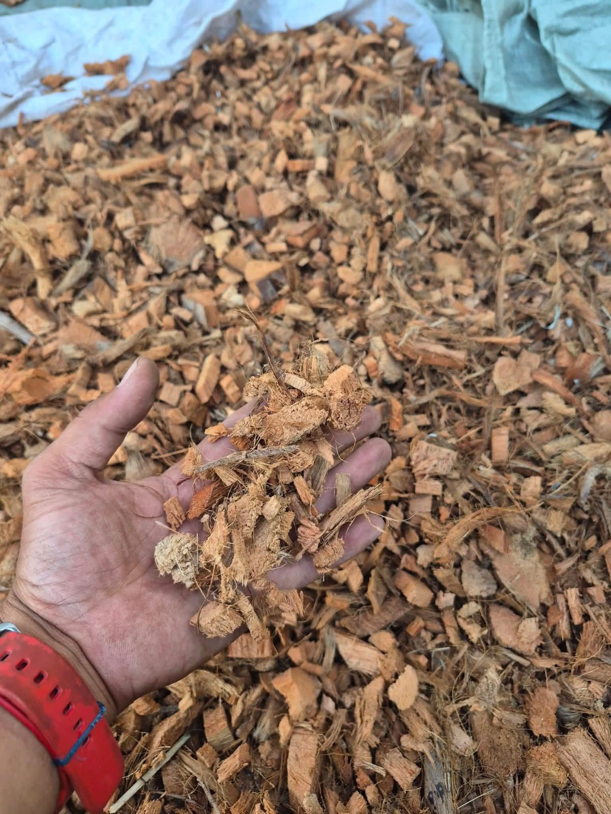Cocochips bag of 5kg