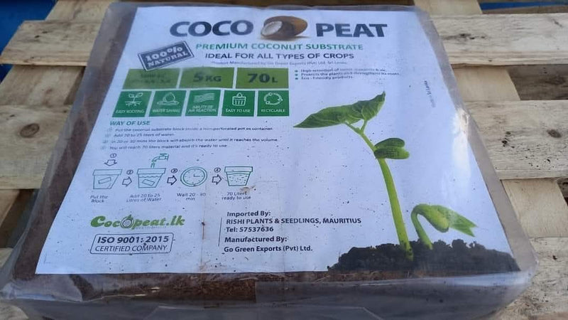 Cocopeat Block 1