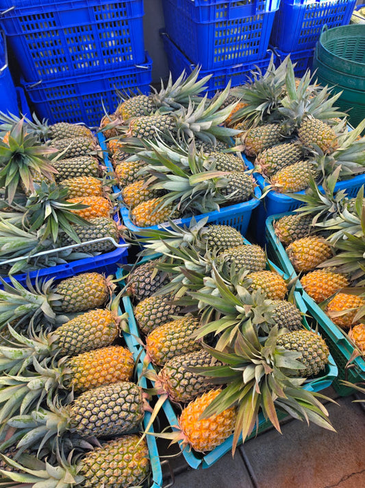 Pineapple Mauritius