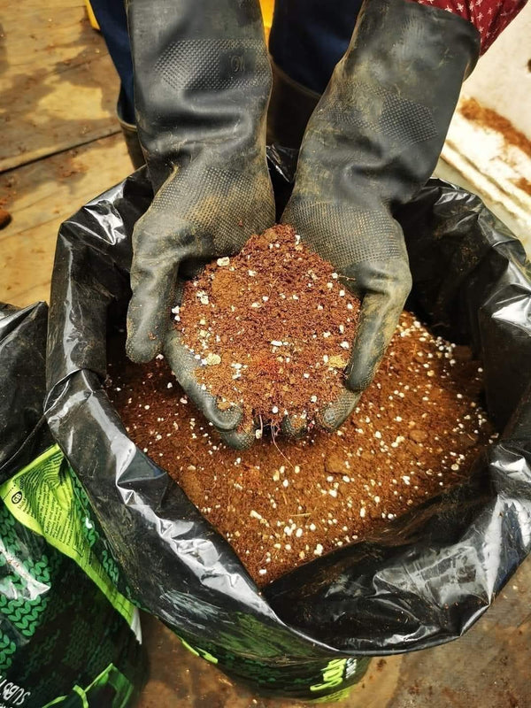 Soil Mix 1
