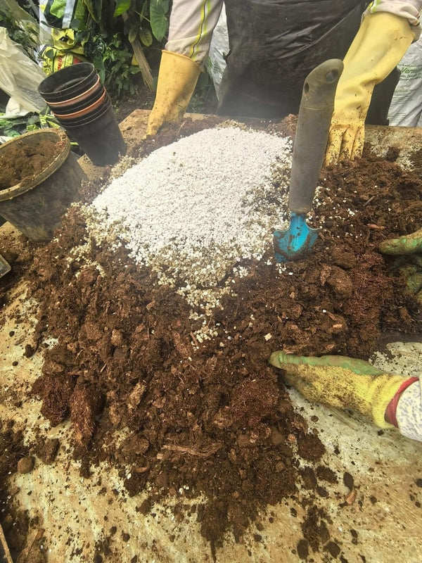 Soil Mix 6