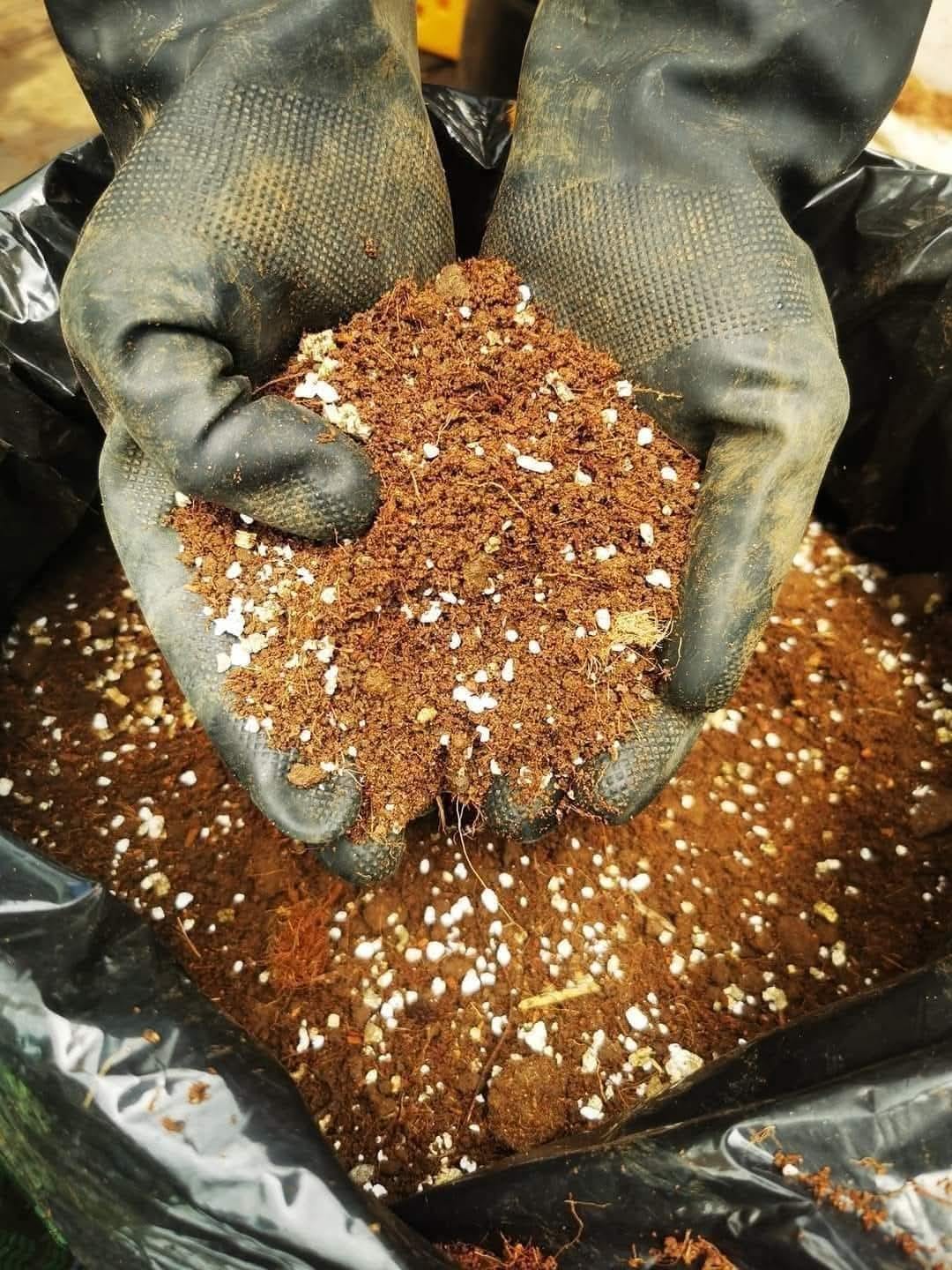 Foliage Fertilizer